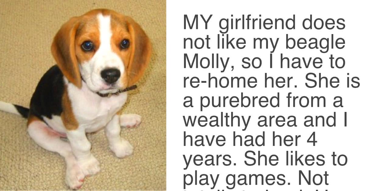 Image result for Girlfriend Gave Her Partner An Ultimatum, Demands Either “The Dog Goes” Or “She Goes”