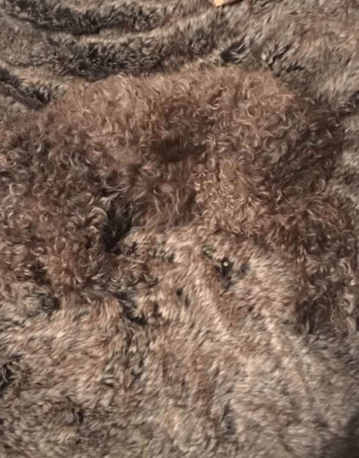 brown-rug