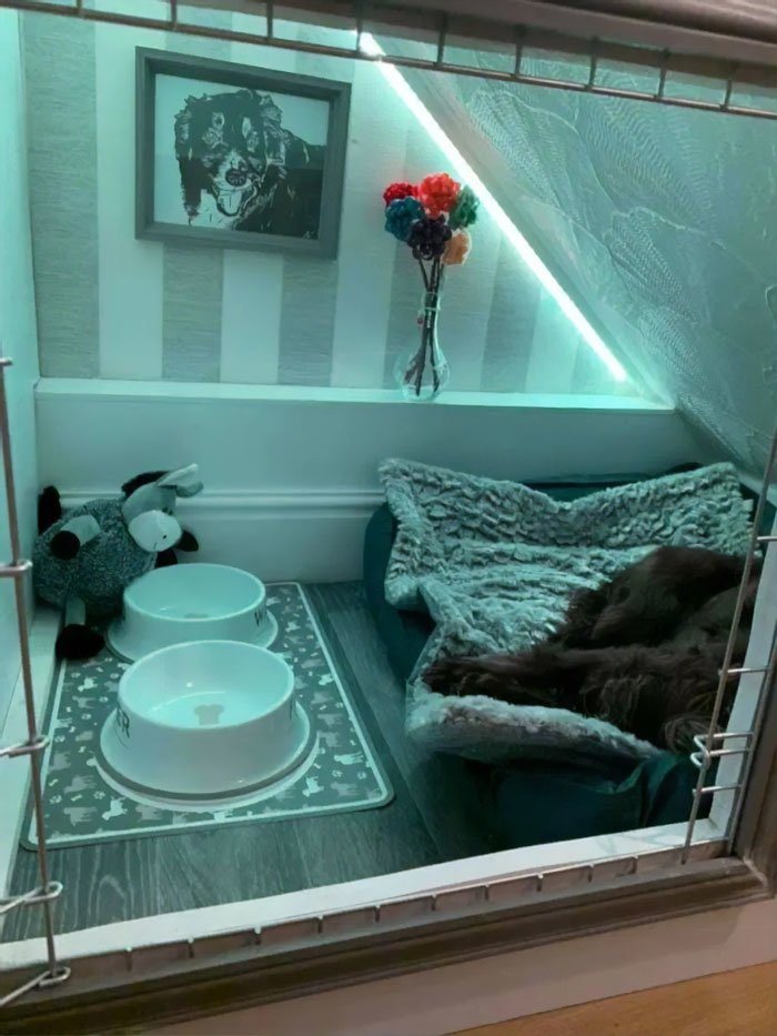 Woman Creates A Cozy Bedroom Under The Stairs For Her ...