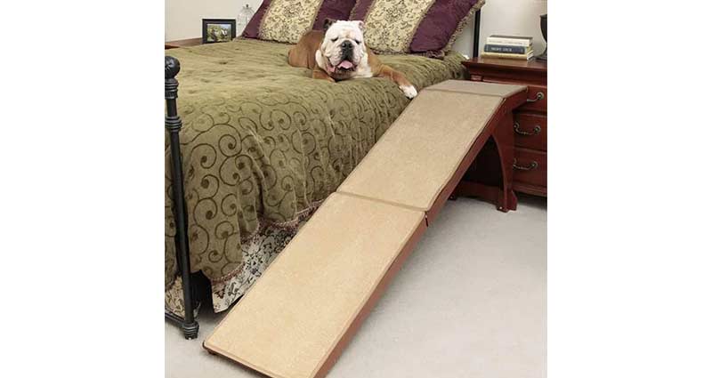 PetSafe CozyUp Bed Ramp for Dogs and cats