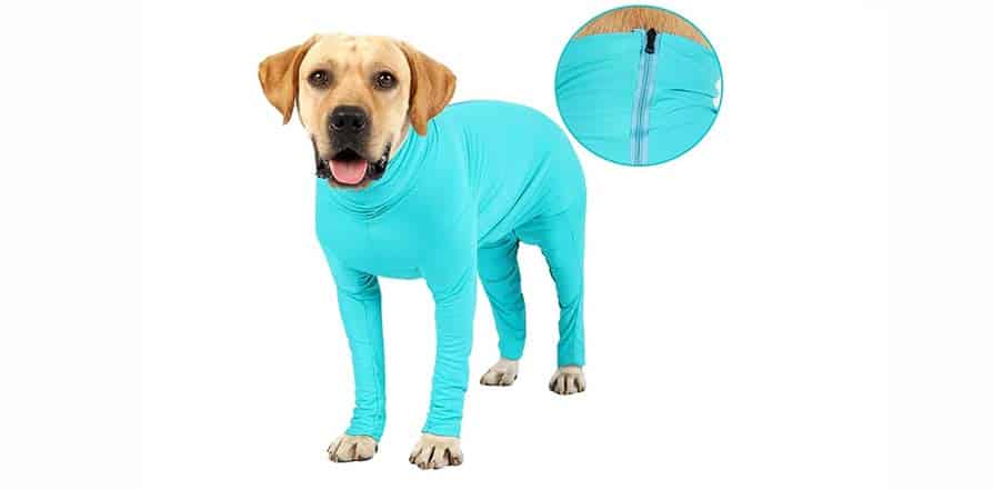 Forthcan Dog Recovery Suit