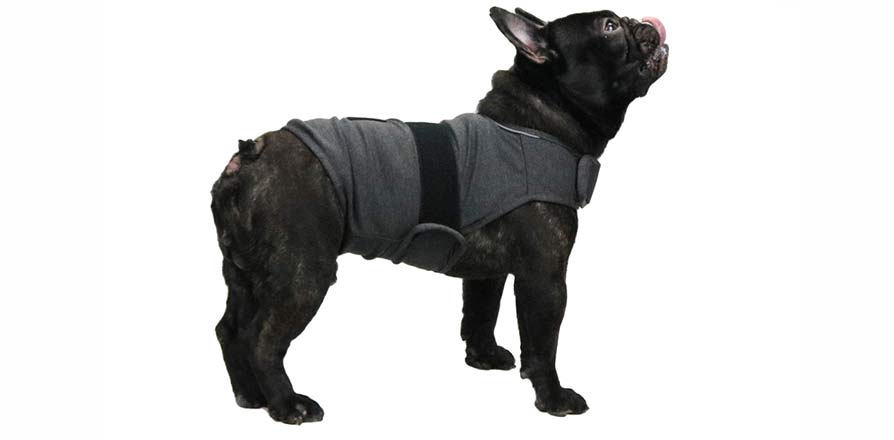 KittyStar Breathable Dog Anxiety Vest